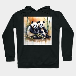 Panda Bear Study Hoodie